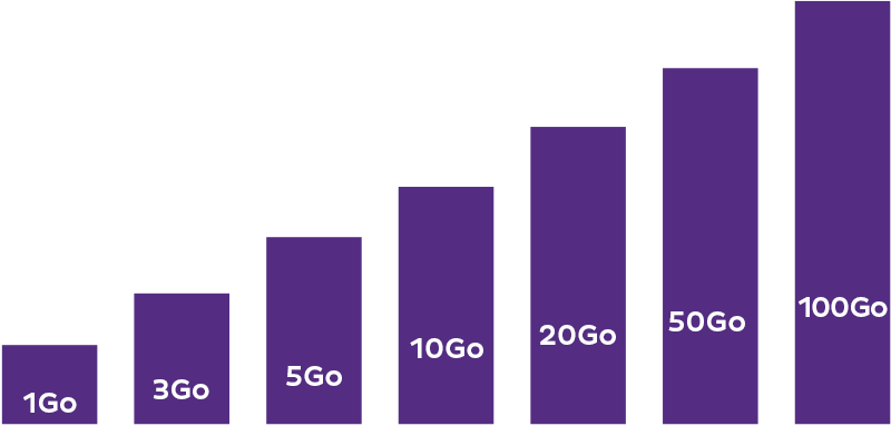 Représentation des gigas de data